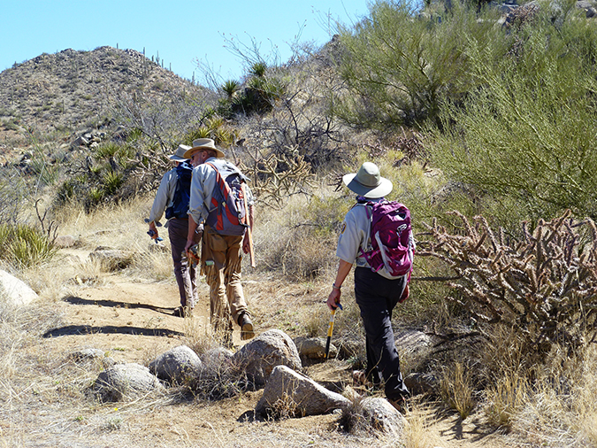 Weed Free Trail